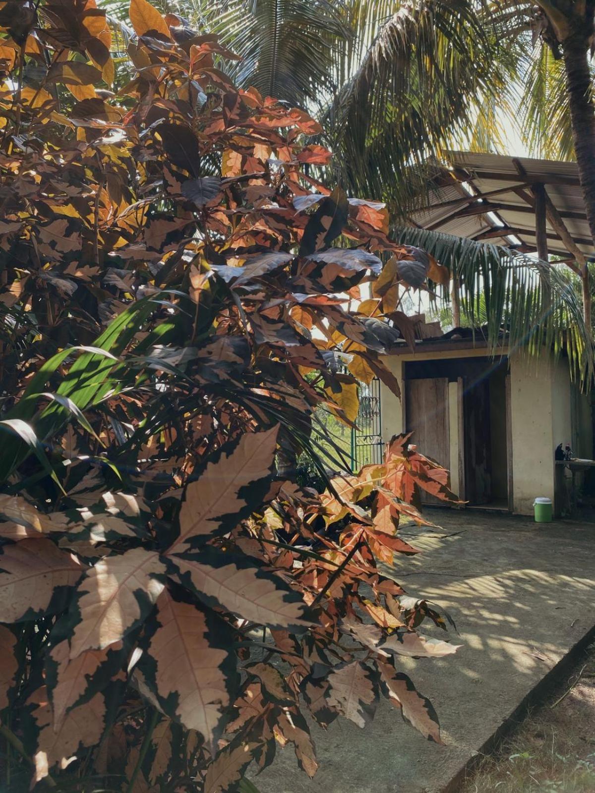 The Captains Iin Chinandega Exterior foto